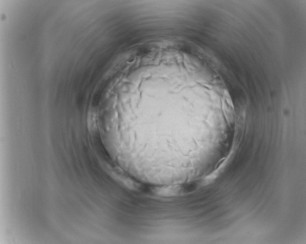 X0000071380191200607142120