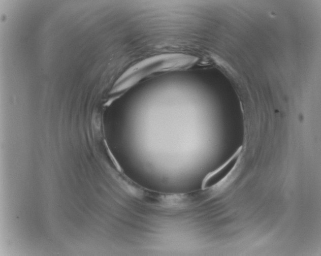 X0000071380192200607142120