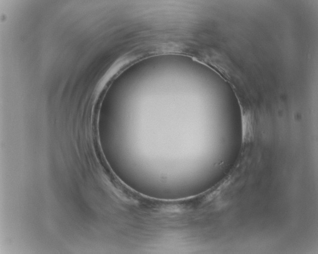 X0000071380195200607142119