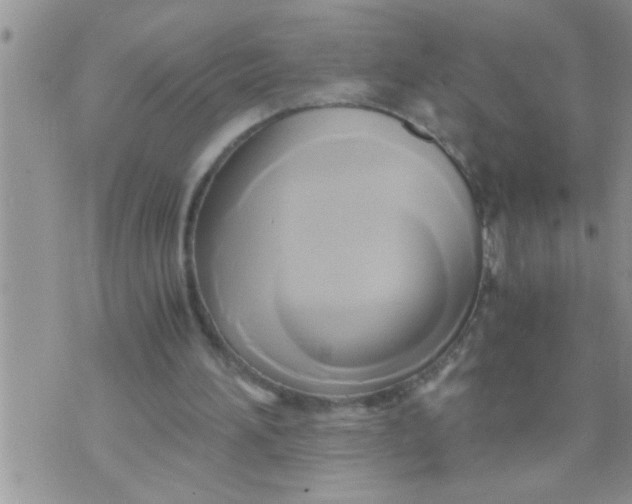 X0000071380196200607142119