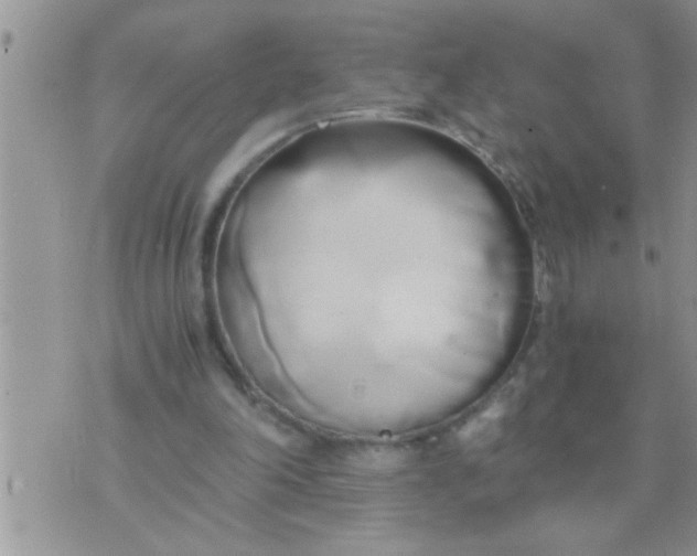 X0000071380198200607142119