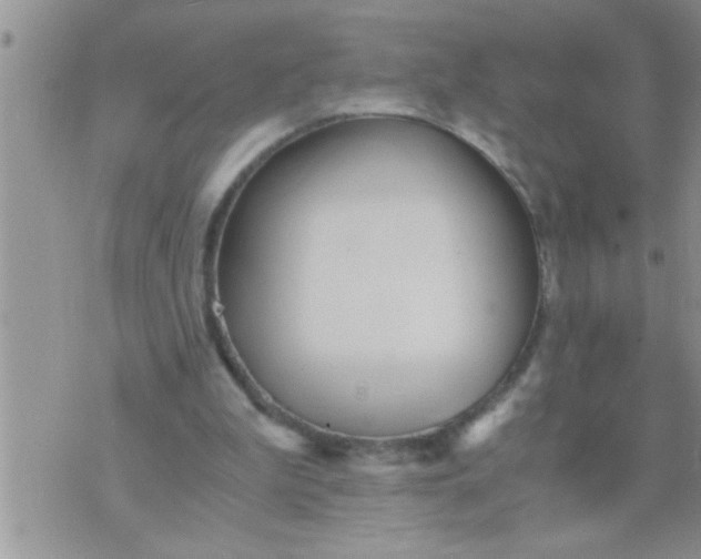 X0000071380199200607142119