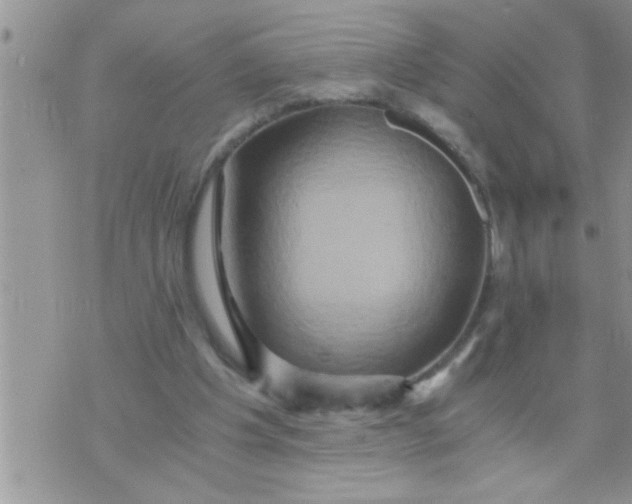 X0000071380201200607142119