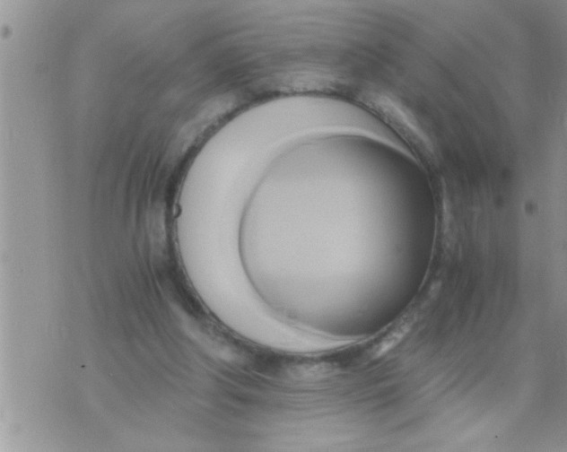 X0000071380202200607142119