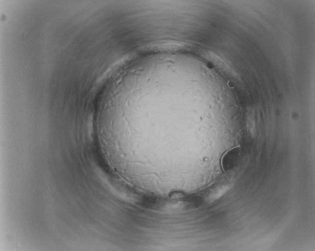 X0000071380206200607142119