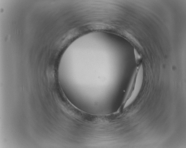 X0000071380207200607142119