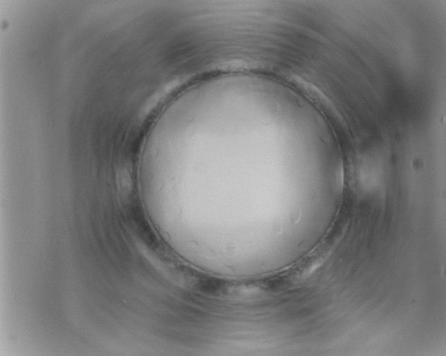 X0000071380208200607142119