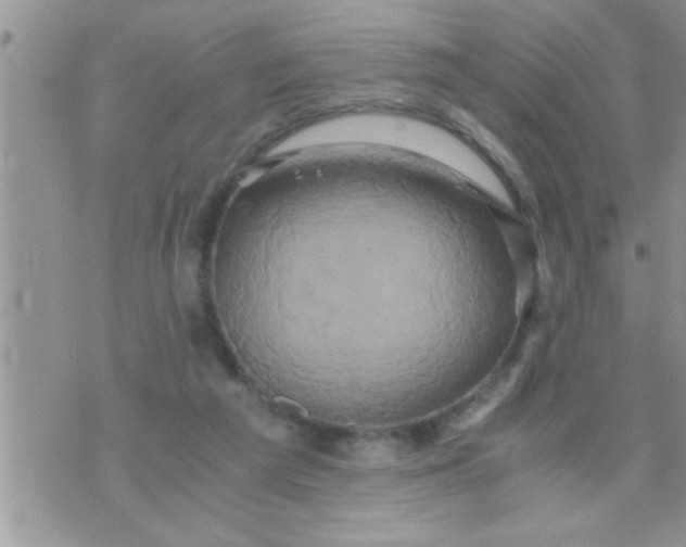 X0000071380209200607142119