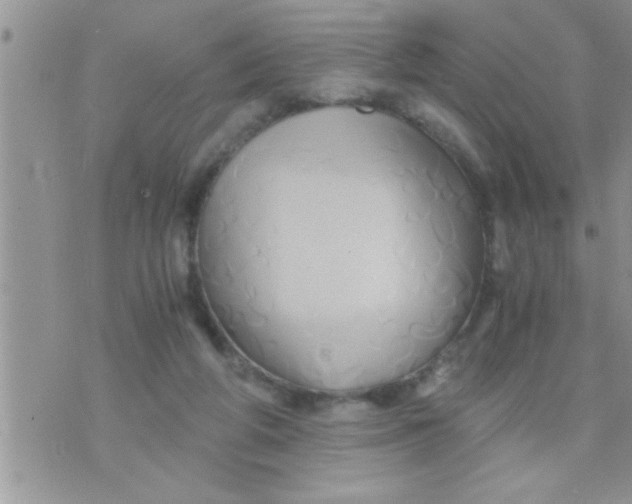 X0000071380210200607142119