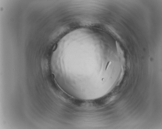 X0000071380211200607142119