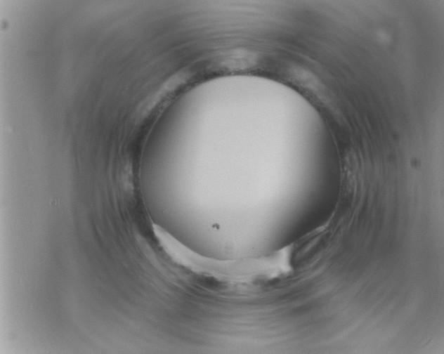 X0000071380212200607142119