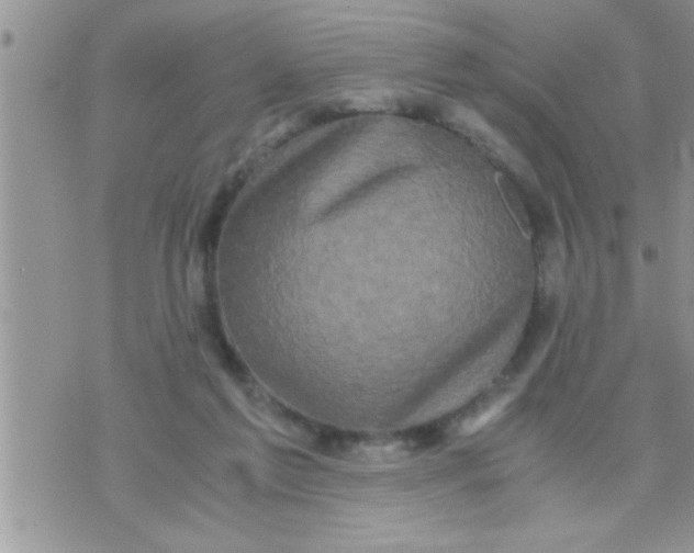 X0000071380213200607142119