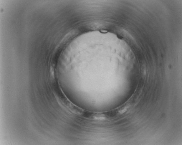 X0000071380214200607142119