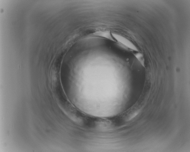 X0000071380215200607142119