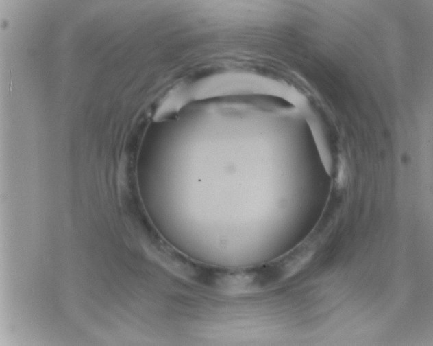 X0000071380217200607142119