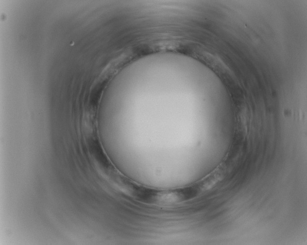 X0000071380218200607142119