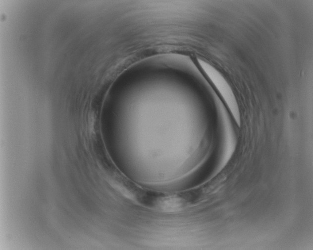 X0000071380219200607142119