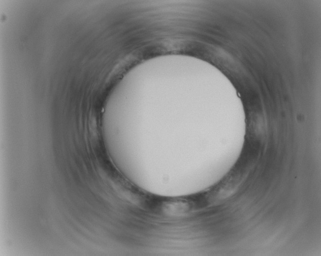 X0000071380220200607142119