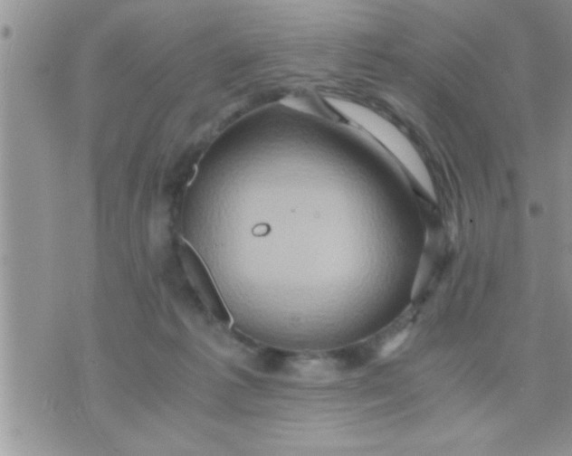 X0000071380221200607142118