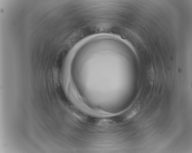 X0000071380222200607142118