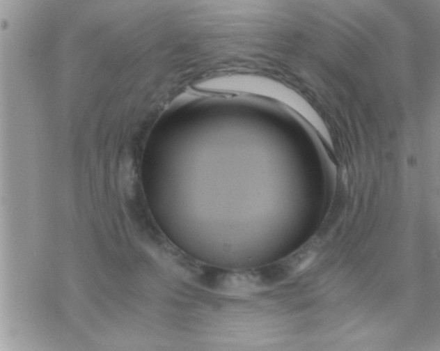 X0000071380223200607142118