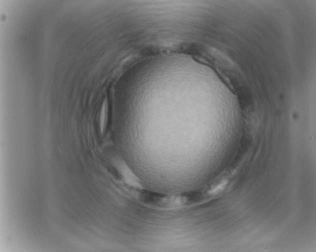 X0000071380225200607142118