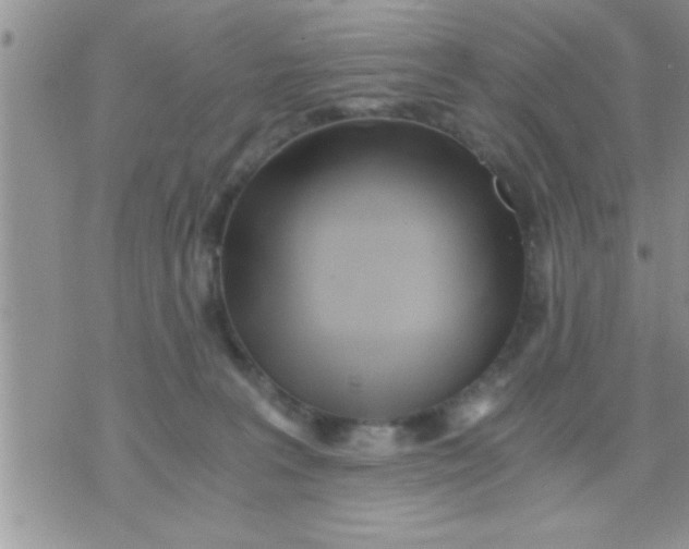 X0000071380227200607142118