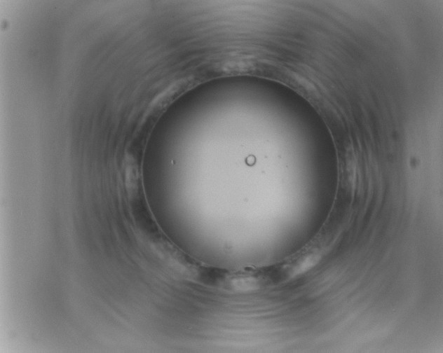 X0000071380228200607142118