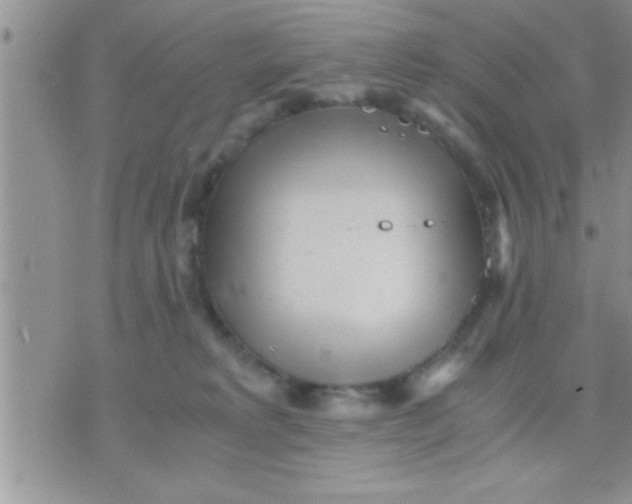 X0000071380229200607142118