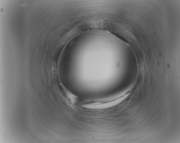 X0000071380233200607142118