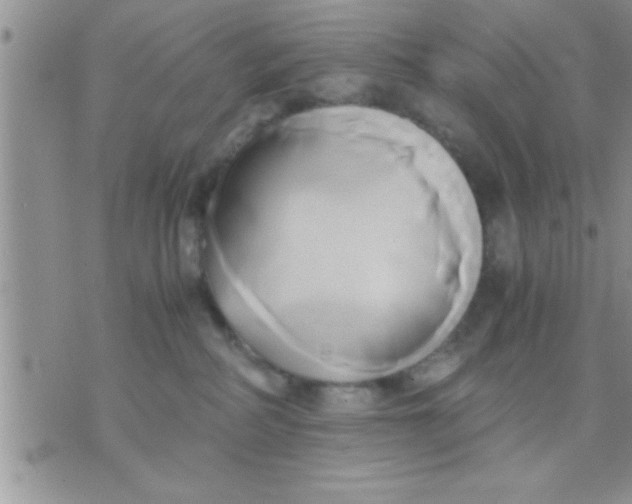 X0000071380234200607142118