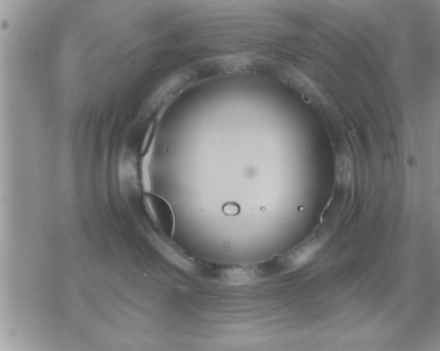 X0000071380238200607142118