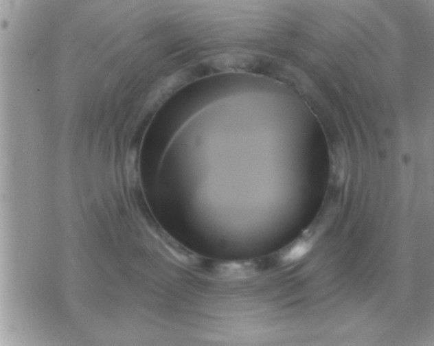 X0000071380239200607142118