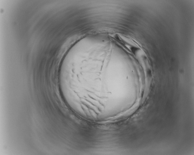 X0000071380241200607142117