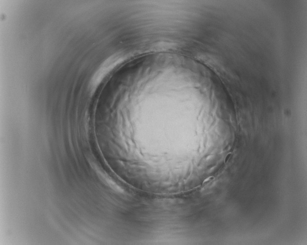 X0000071380242200607142117