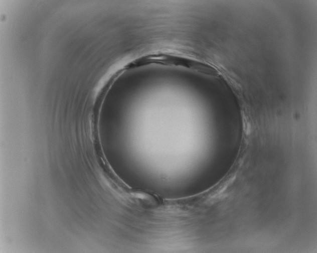 X0000071380244200607142117