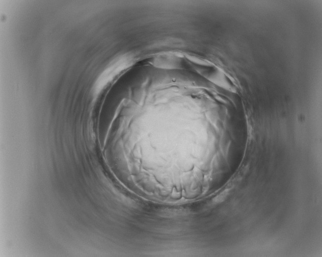 X0000071380245200607142117