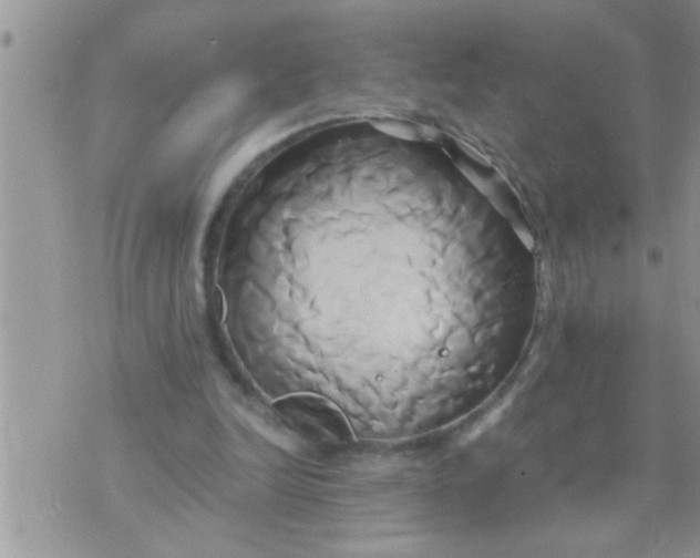 X0000071380246200607142117