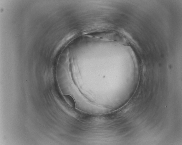 X0000071380250200607142118