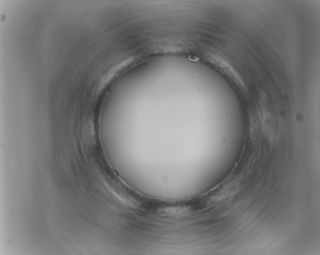 X0000071380251200607142118