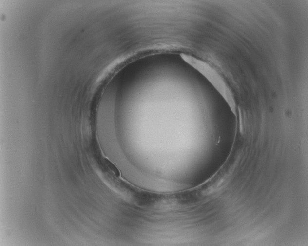 X0000071380252200607142118