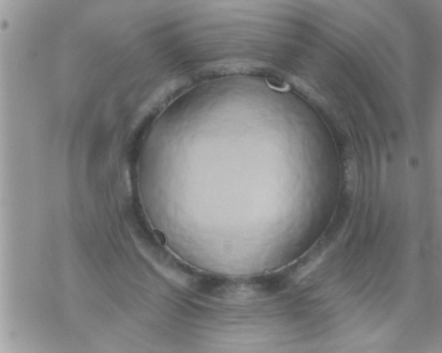 X0000071380254200607142118