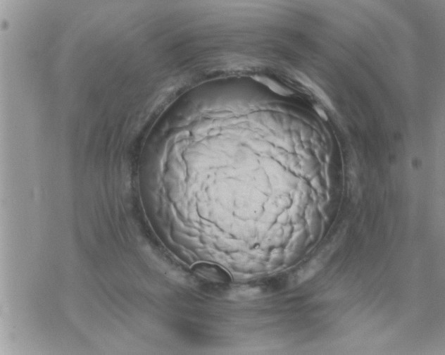 X0000071380257200607142118