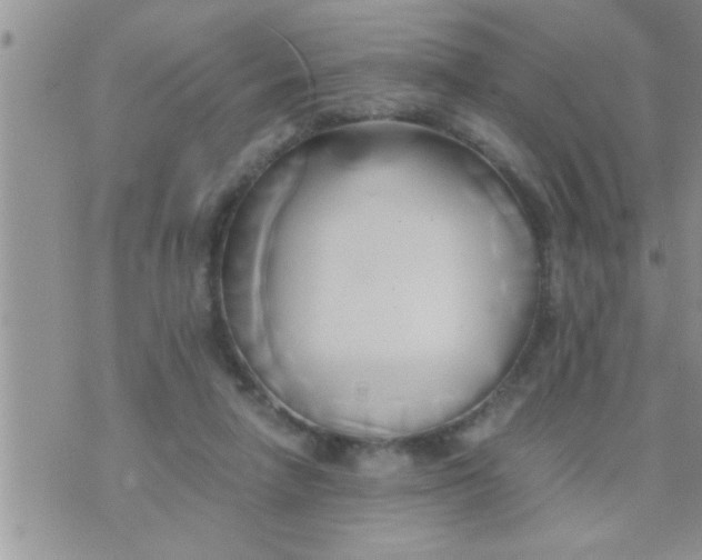 X0000071380258200607142118