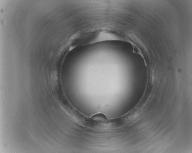 X0000071380260200607142118