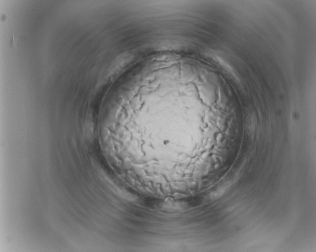 X0000071380261200607142118