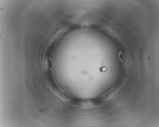 X0000071380262200607142118