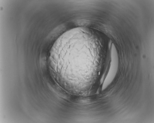 X0000071380263200607142118