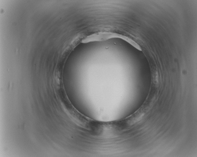 X0000071380264200607142118