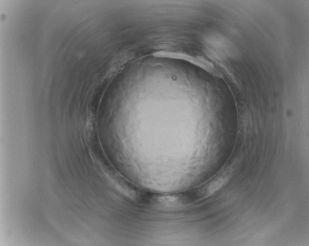 X0000071380265200607142118